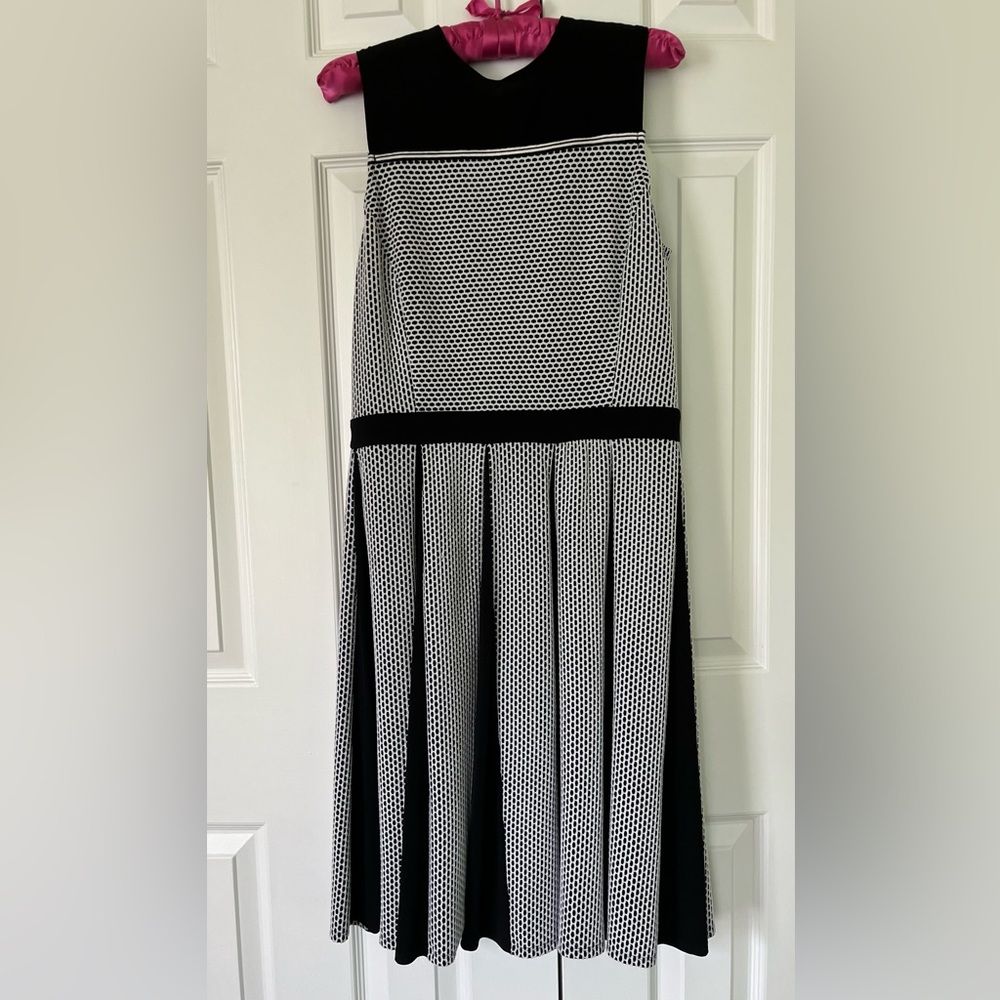 Taylor Black and White Knee-Length Summer Dress